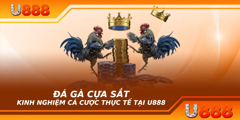 Đá gà cựa săt